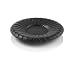 Teavana Kiku Black Cast Iron Coaster