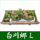 �y�������z�~�́E�~�i ���싽�iL�j