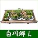 【敬老の日】盆栽・盆景 白川郷(L): ※手作りのためお届けまでにお時間を頂く場合もございますので、ご了承下さい。<br>「お手入れ方法」【樹木】:毎回朝1回水をやってください。<br>【苔】:乾燥の程度を見ながら霧吹きでたっぷりと。<br>【陽光】:...