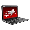 MSI Wind 10" Netbook Computer with 3-Cell Battery - Black (U100-641US)