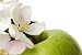 Apple Blossoms 2 - 24