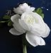 Bridal Elegance: Satin Ranaunculus with Bud