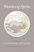 Book Wandering Spirits: Chen Shiyuan's Encyclopedia of Dreams (Philip E. Lilienthal Books)