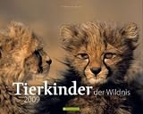 Produkt-Bild: Tierkinder der Wildnis 2009.
