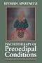 Psychotherapy of Preoedipal Conditions: Schizophrenia and Severe Character Disorders