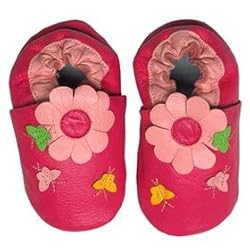 Papush Pink Flowers & Butterflies Shoes