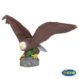 Eagle  （鷲）