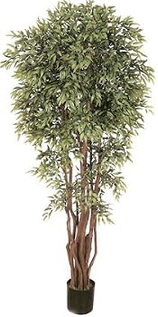 6 1/2' Deluxe Ruscus Tree