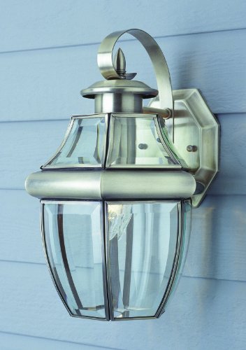 Trans Globe Lighting 4310 BN 1-Light Coach Lantern, Brushed Nickel Trans Globe Lighting 4310 BN 1-Light Coach Lantern, Brushed Nickel