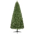 6.5' LINDEN PINE