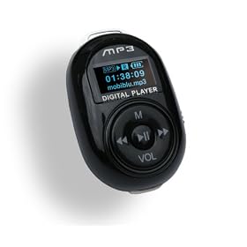 Datasafe oomi 2GB (AMP3 Pebble)