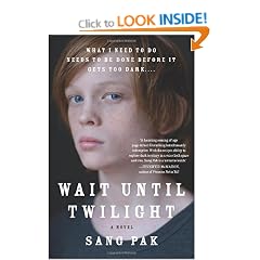 Wait Until Twilight