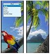 Parrot Design Decal Skin Sticker for Apple iPod nano 2G (2nd Generation) 2GB/ 4GB/ 8GB Player