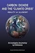 Carbon Dioxide and the Climate Crisis: Reality or Illusion?