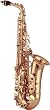 Yanagisawa 902 Bronze Alto Saxophone