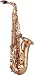 Yanagisawa 902 Bronze Alto Saxophone