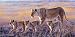African Wildlife Jigsaw Puzzle: Joining the Pride