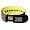 Nike + SportBand (Anthracite/Voltage Yellow)