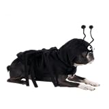 Dog Costume - Spidey Paws Dog Spider Halloween Costume - Medium