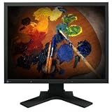 Eizo 21-Inch Lcd Monitor (S2100-M-BK)