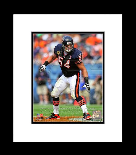 Chicago Bears Brian Urlacher 2011 Action Framed Picture 8x10