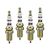 ACCEL  0736-4  Copper Core Spark Plug, (Pack of 4)