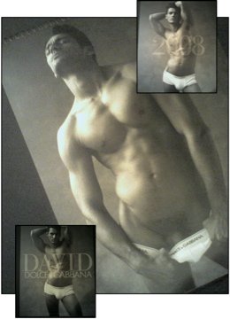 Buy DOLCE&GABBANA , CALENDARIO ,DAVID GANDY, CALENDAR , D&G
