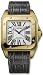 Cartier Santos 100 Ladies Watch W20112Y1