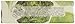 Nesti Dante Nesti dante horto botanico lettuce soap, 8.8oz, 8.8 Ounce