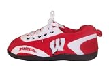 Wisconsin Badgers All Around