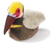 Brown Pelican