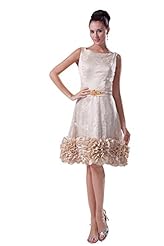Beaded Lace Sleeveless Bateau Neck Charmeuse/Silk Evening Dress 