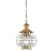 Harbor - 1 Light Nautical Outdoor Pendant Lighting Fixture - Flemish Brass - Hand Blown Clear Glass - B5599