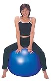 ���[�W�F���g�E�t�@�[�C�[�X�g �t���b�N�X�o���[��65cm �p�[���u���[ 39627