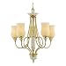 Quoizel Posy Baskets 5 Lt Chandelier
