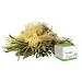 Teaposy Flowering Tea Noble Essence Teaposies