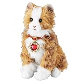 首輪でおしゃべり 夢ねこハート