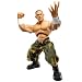 WWE 14 Ring Giants: John Cena