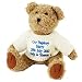 Personalised Teddy Bears (Blue Embroidery)