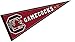 NCAA University of South Carolina WCR63941971 Carded Classic Pennant, 12