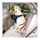Guardian Gear Ride Right Car Harness S/M Navy