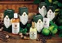 Lerbolario Eau de Toilette mit dem herb - frischen Duft eines Waldes 110 ml