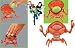 Ben 10 Alien Force - Deluxe Figures - Brainstorm