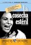 La Cosecha Esteril (La Commare Secca) [NTSC/REGION 1 & 4 DVD. Import-Latin America]