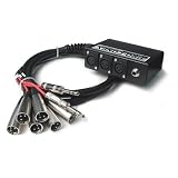 Buy Hosa Little Bro Snake (XLR x 6 to 1 4 Inch x 2) (SH6250, 50 Foot) by Hosa