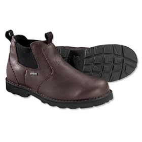 Danner Silverton GTX Shoe DannerTM Silverton GTX Shoe by Orvis