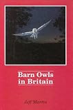 Barn Owls in Britain