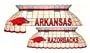 Arkansas Pool Table Lamp