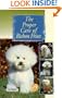 The Proper Care of Bichon Frises