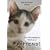 The Wonderful World of Kittens!